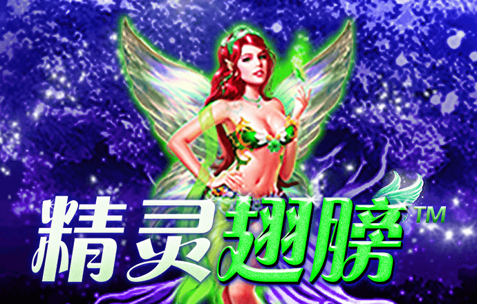 aoa体育官方官网